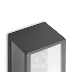 Aplique de exterior Lindby Peldar, antracita/transparente, 26 cm, metal