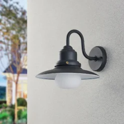 Aplique de exterior Lindby Roisin, antracita, metal, 31 cm