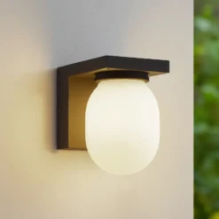 Aplique de exterior Lucande Ovaali, cristal, gris oscuro, IP65