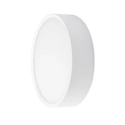 Aplique LED para exterior BRUMBERG EYE, abierto, blanco, CCT, IP65