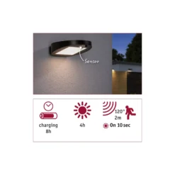 Aplique LED solar para exterior Paulmann Ryse, antracita