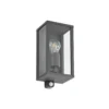 Aplique para exterior Lindby Peldar, antracita/transparente, 26 cm, sensor