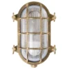 Aplique Tortuga oval 22,5cm latón natural/claro