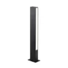 Baliza LED Lir, altura 60 cm, metal gris oscuro, 2 luces.