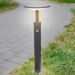 Bolardo luminoso LED Fenia de Lucande, 60 cm, sensor, IP54, antracita