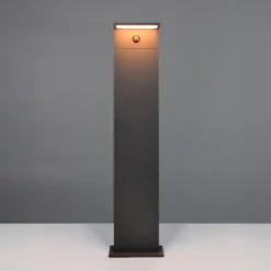 Bolardo luminoso LED Ravi, antracita, altura 100 cm, sensor, IP54