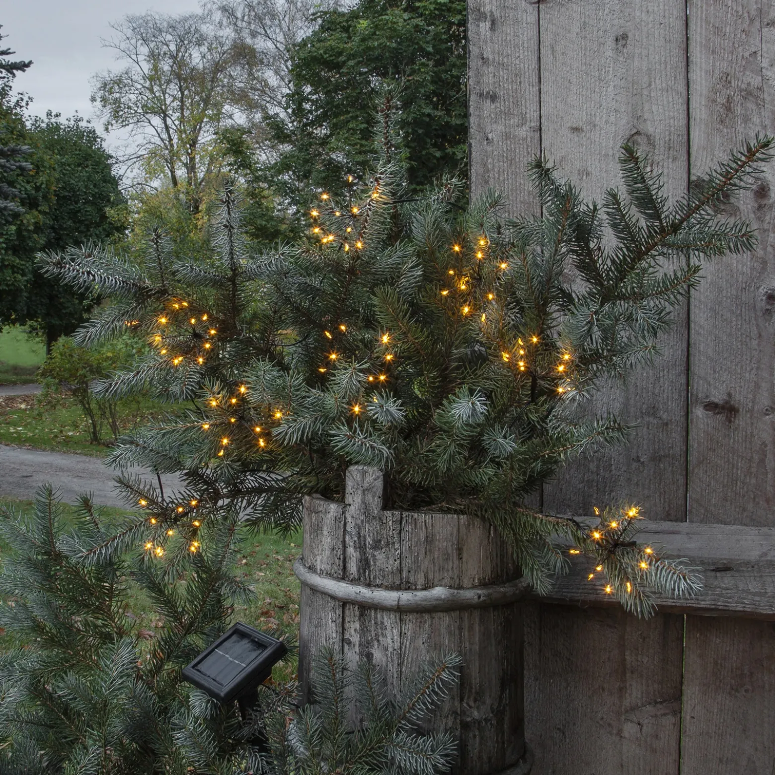 Cadena de luces LED solar Firework