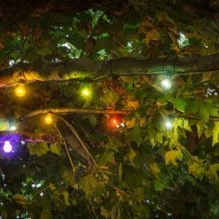 Cerveza jardín de hadas luces 10 bombillas convencionales LED