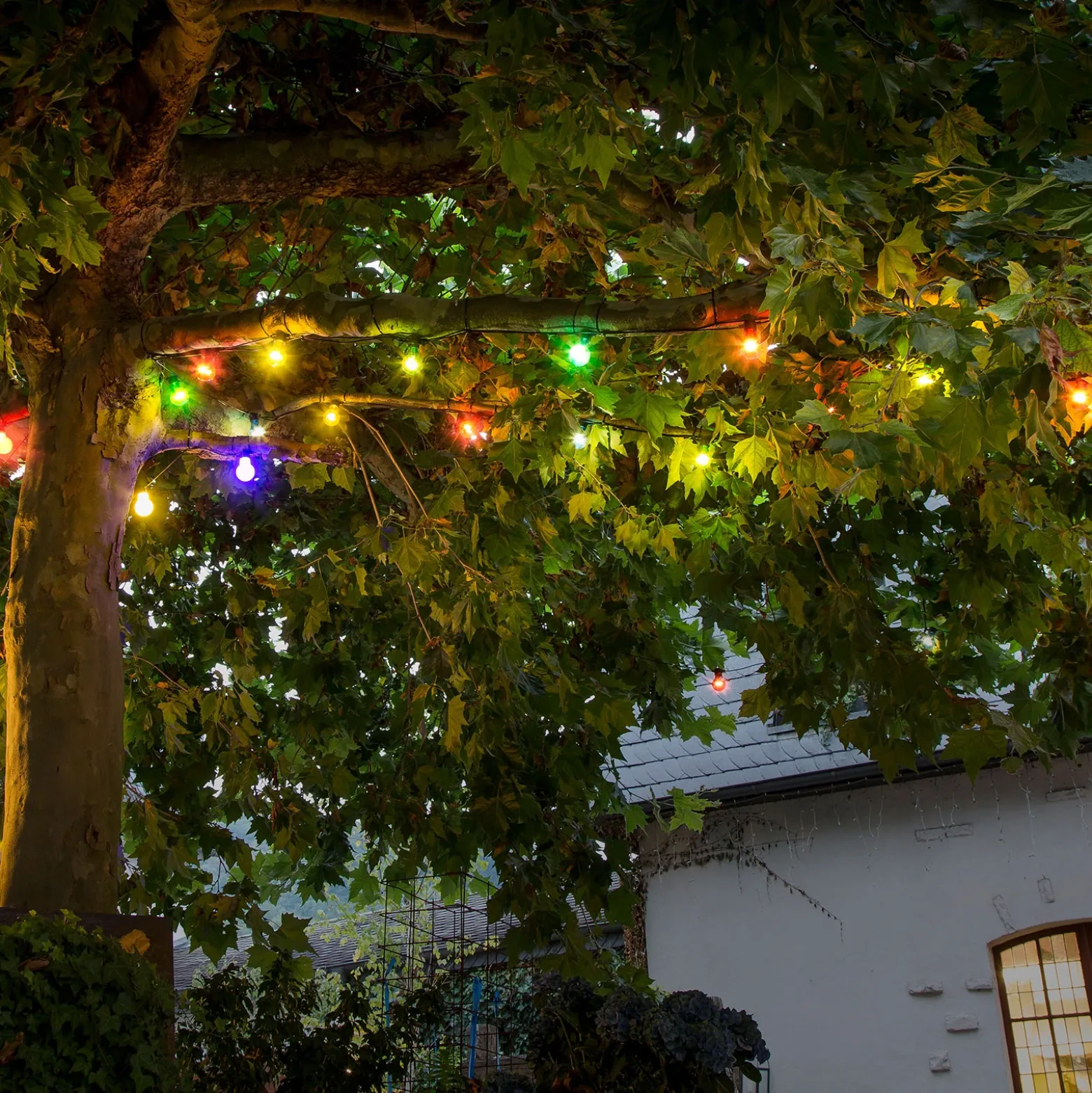 Cerveza jardín de hadas luces 10 bombillas convencionales LED