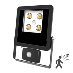 EVN Panthera foco exterior sensor IP44 10W 3.000K