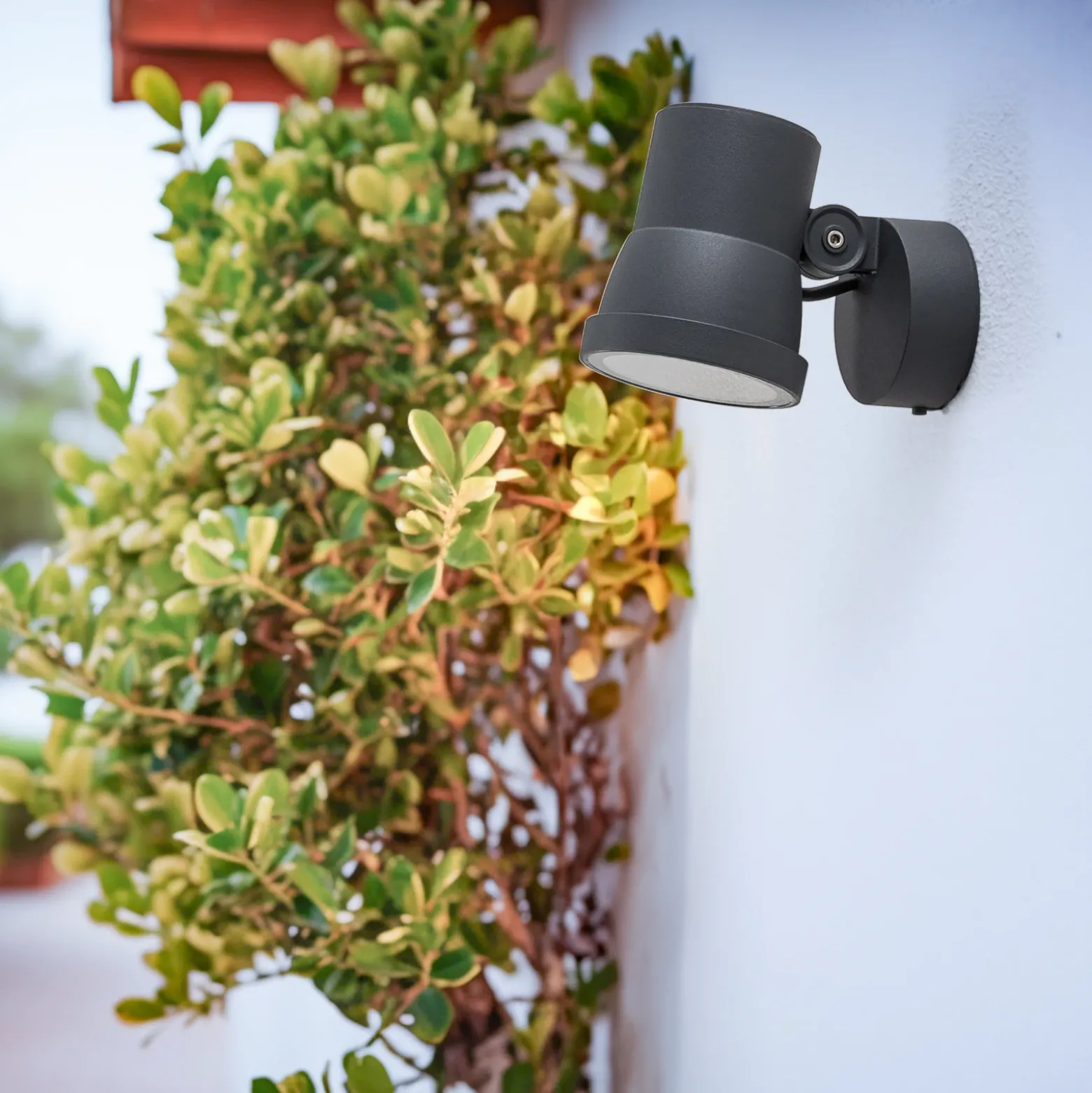 Foco LED Bega 84952K3, DALI, grafito, aluminio fundido