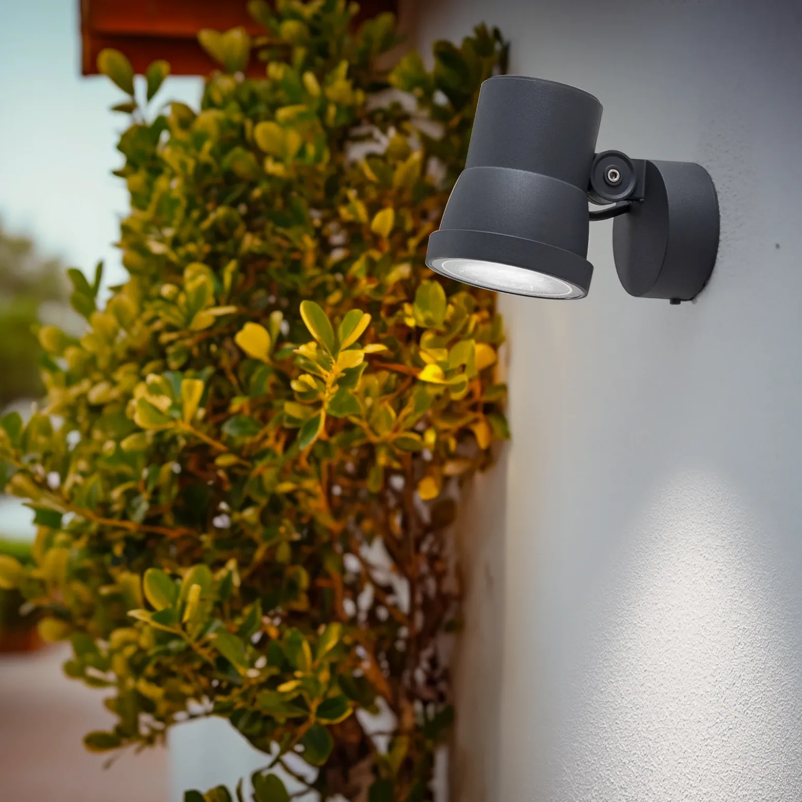 Foco LED Bega 84952K3, DALI, grafito, aluminio fundido