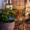 Guirnalda de luces LED solar Knirke Solar 7,9 m 80 LEDs