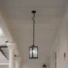 Lindby Lámpara colgante exterior Bolgar, negro, metal, cristal