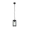 Lámpara colgante exterior Alamonte 1, negra, 15 cm de largo, metal