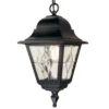 Lámpara colgante exterior Norfolk NR9, negro/transparente, IP43