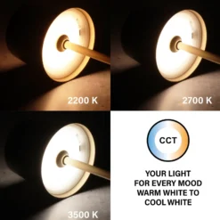 Lámpara de mesa LED recargable Roxi, color café, metal, IP54, atenuador
