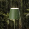 Lámpara de pie LED recargable Nuindie IP54 120 cm redonda USB-C abeto verde