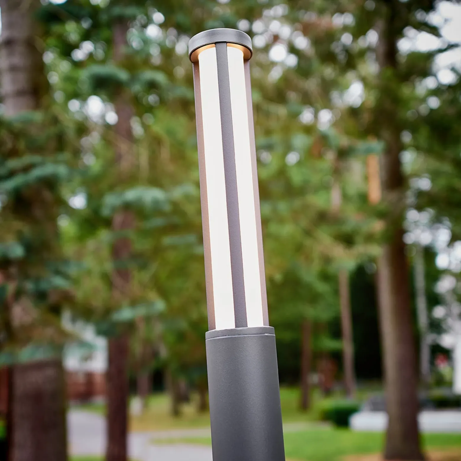 Lámpara exterior LED Sidny de Lucande, 220 cm, antracita, IP54