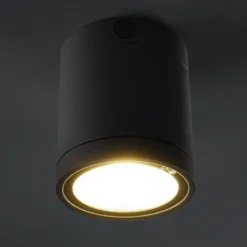 Lámpara LED de techo Negro para el exterior