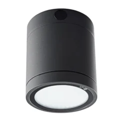 Lámpara LED de techo Negro para el exterior