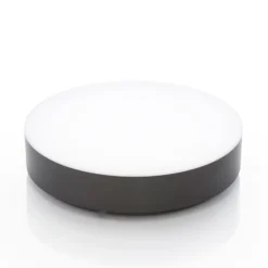 Lámpara LED de techo para exterior Lahja de Lindby, antracita, sensor, IP65
