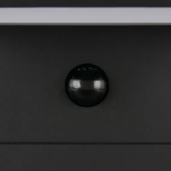 Lámpara sobremuro LED Ravi, antracita, altura 50 cm, sensor, IP54