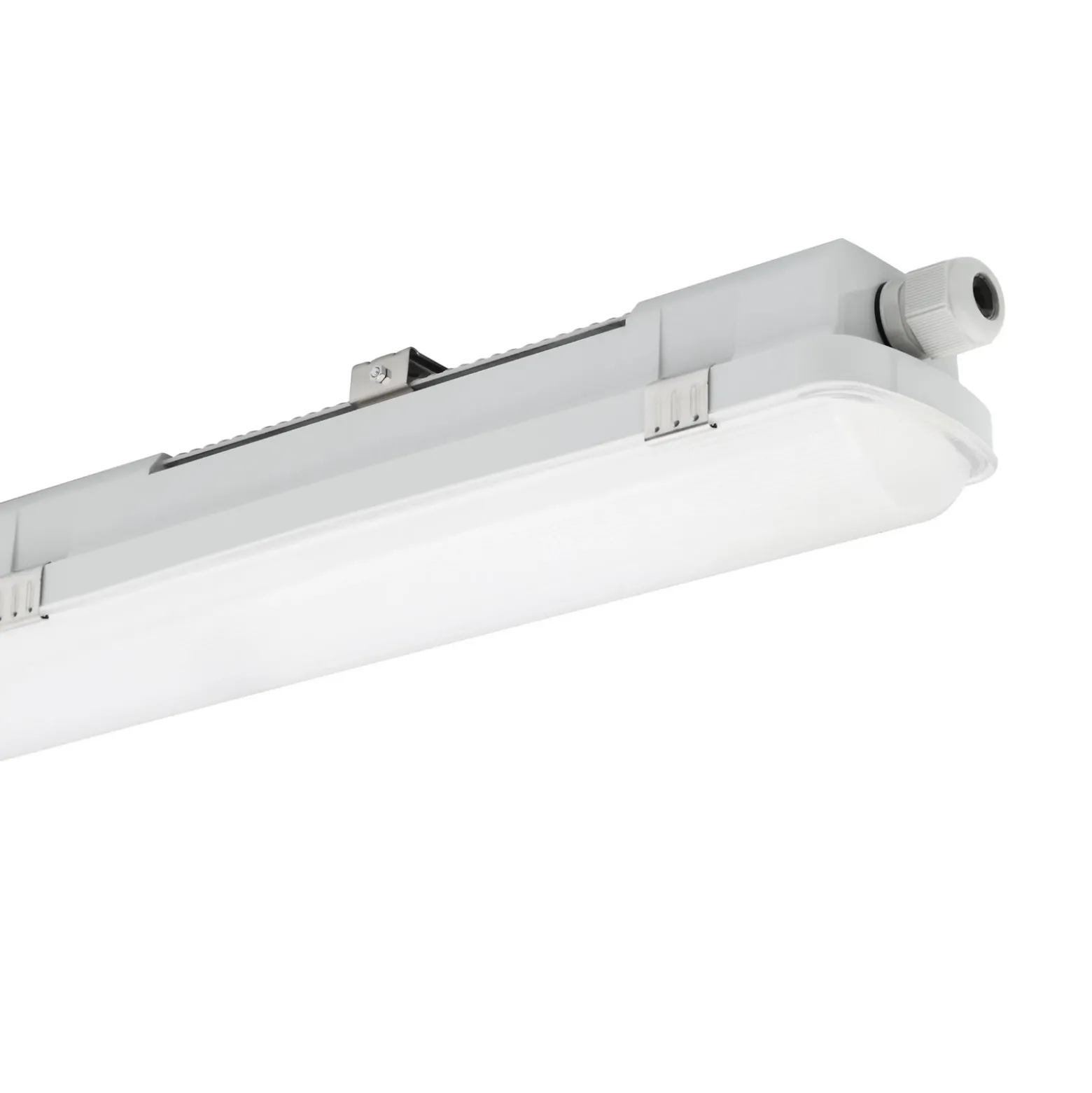 Luminaria LED con difusor RESISTO, gris claro, 150 cm, 42 W, 840 IP66