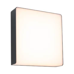Paulmann Aplique de exterior LED Azalena, sensor, antracita