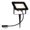 Paulmann Plug & Shine proyector con pincho 16W