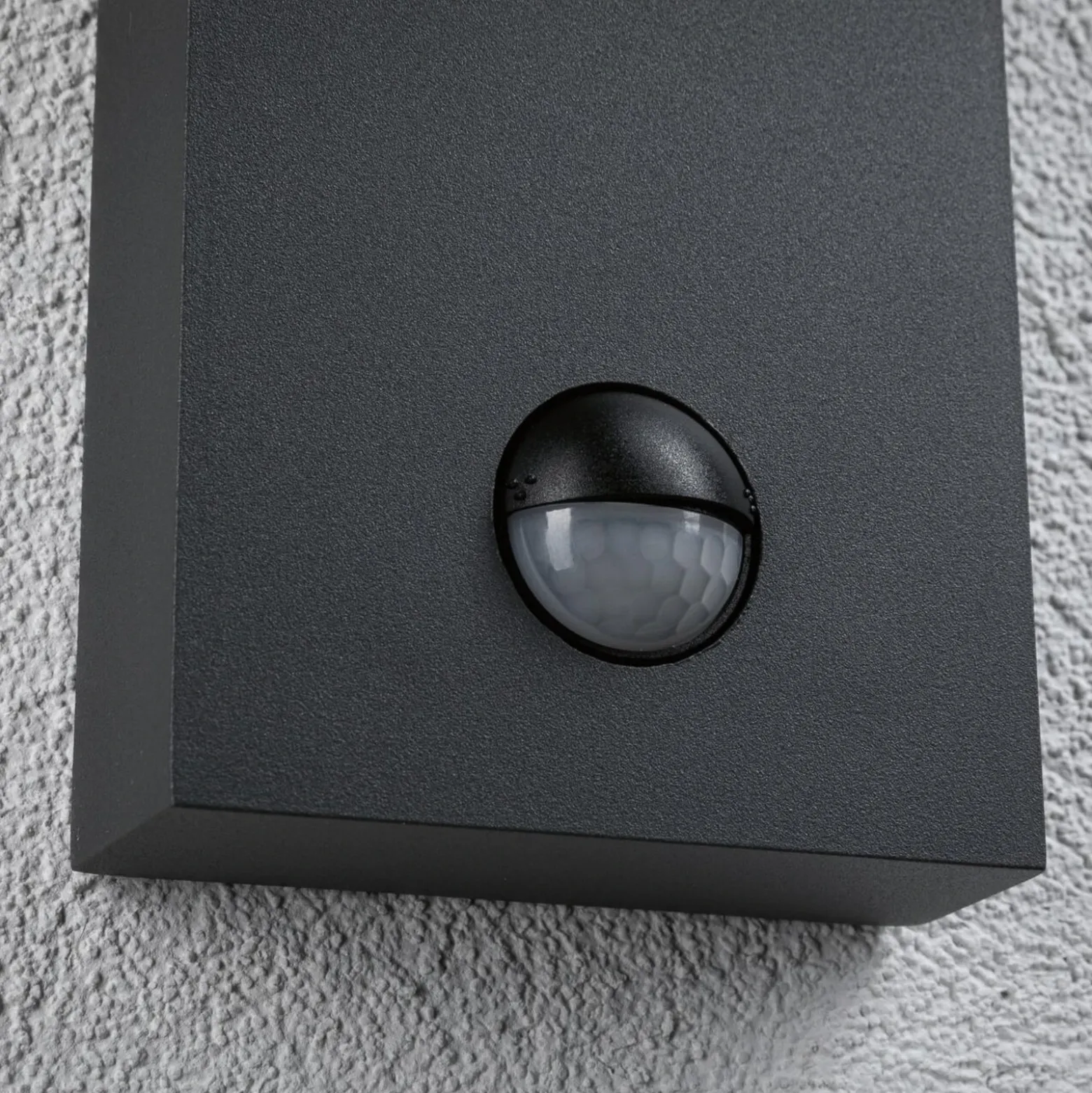 Paulmann Puka Aplique de exterior LED con sensor