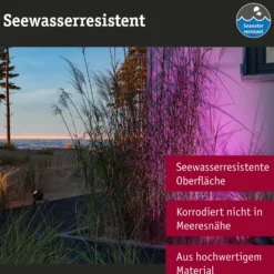 Paulmann Smart LED-Erdspießspot Kikolo, RGBW, antracita IP65