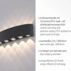 Paul Neuhaus aplique LED para exterior Carlo, 27 cm, negro