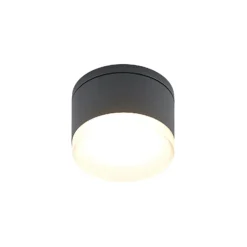 Plafón LED para exterior Lindby Mathea, cilíndrico