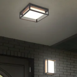 Plafón para exterior LED Witham IP54, CCT, antracita