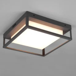 Plafón para exterior LED Witham IP54, CCT, antracita