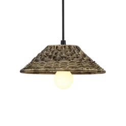 PR Home lámpara colgante exterior LIS, marrón, enchufe, Ø 27 cm