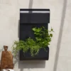 PR Home Planta aplique de exterior jardinera