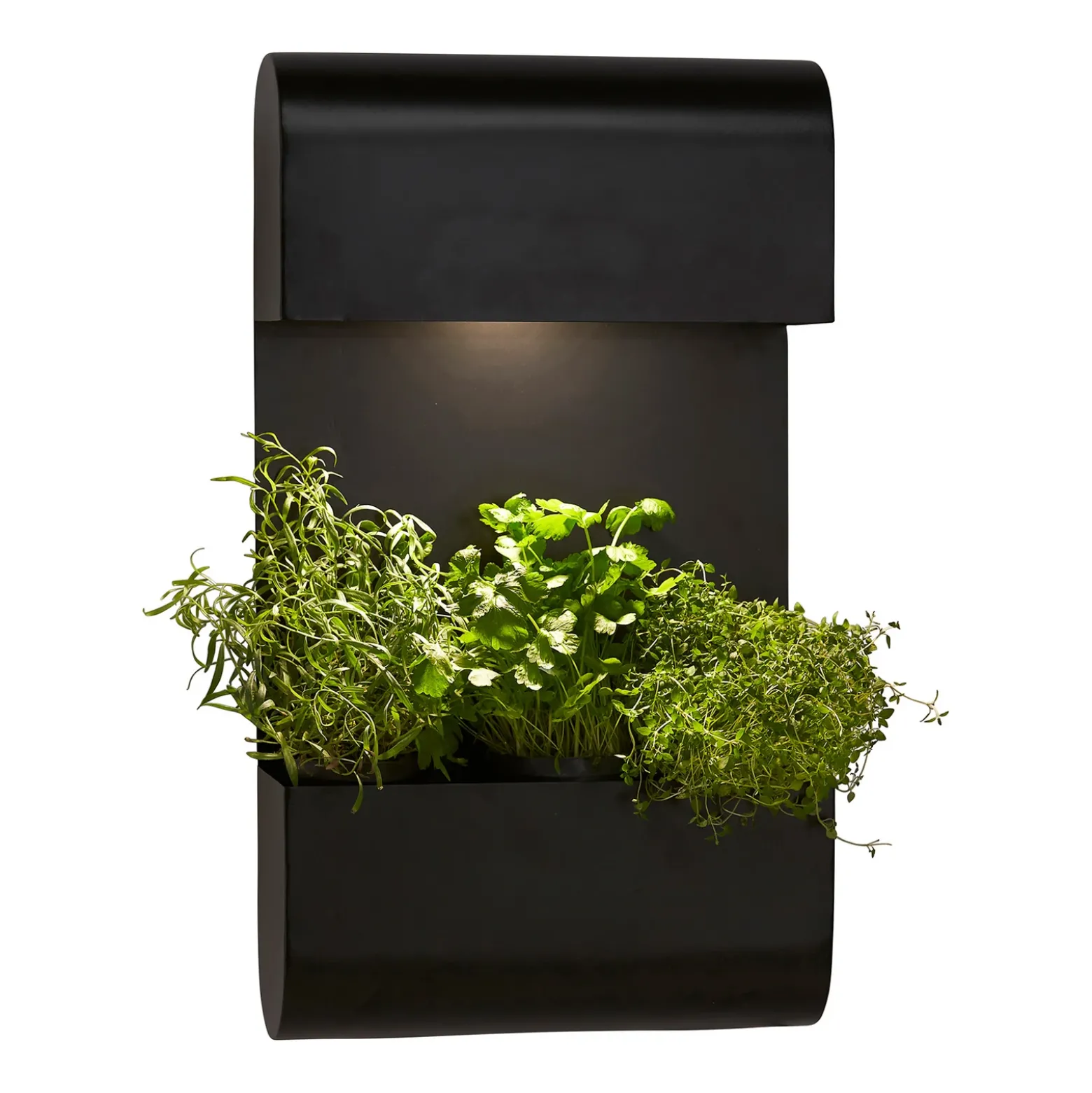 PR Home Planta aplique de exterior jardinera