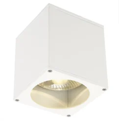 SLV Big Theo plafón para exterior, blanco