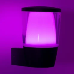 WiZ aplique LED de exterior Elpas RGBW, negro